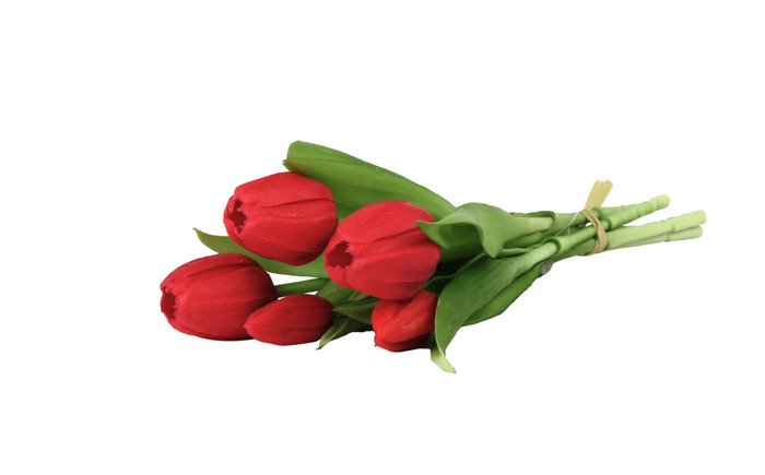 Konstblomma Tulpan Röd 5-pack